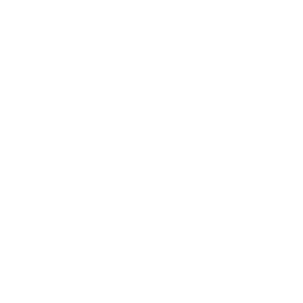 protese protocolo