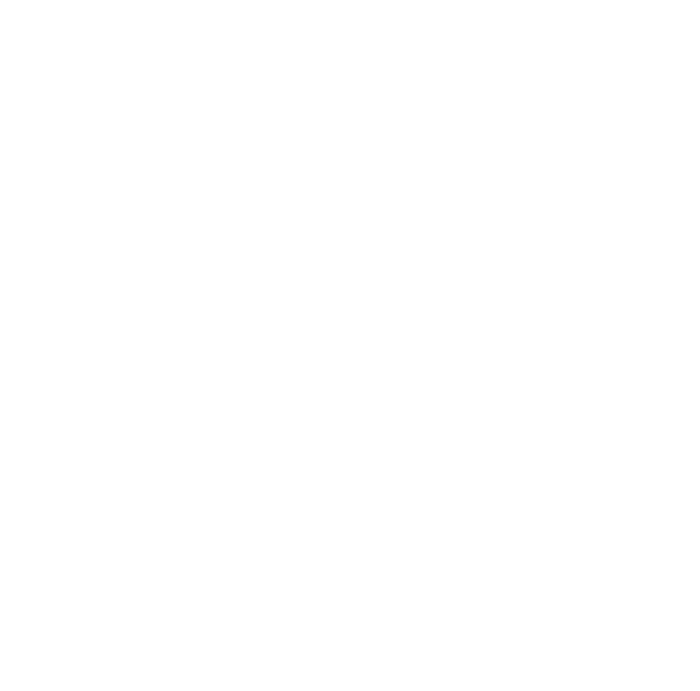 protese protocolo